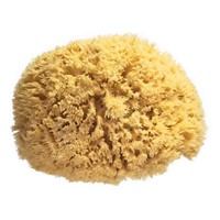 ספוג רחצה טבעי - Natural Sea Sponges